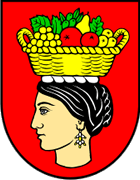 Župa Dubrovačka - Blason