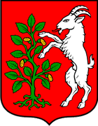 Obrovac - Blason