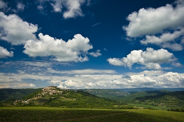 Forêt de Motovun, Croatie