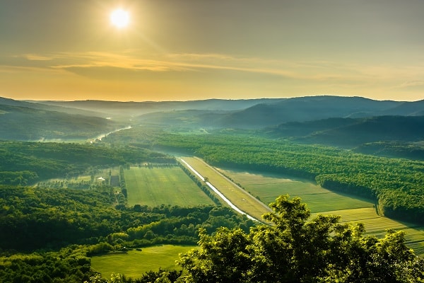 Forêt de Motovun, Croatie
