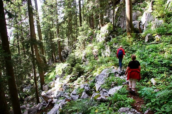 Parc national de Risnjak, Croatie