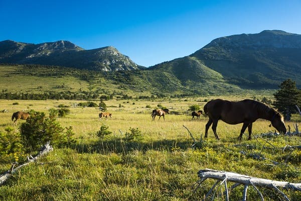 Velebit Nature Park, Croatie