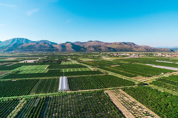 Vallée de la Neretva, Croatie