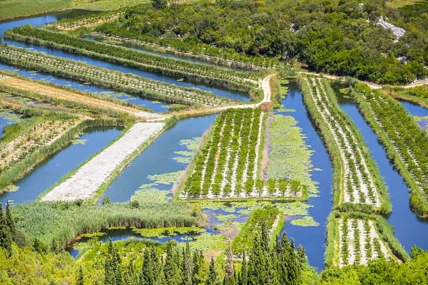 Vallée de la Neretva, Croatie