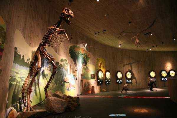 Musée de Krapina Néandertaliens, Croatie