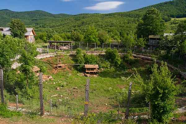 Refuge pour les ours Kuterevo, Croatie